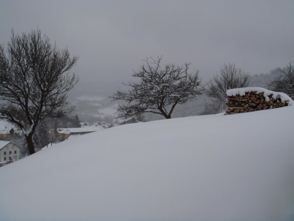 Gîte de famille dans les Vosges Saint-Maurice-sur-Moselle Extérieur photo