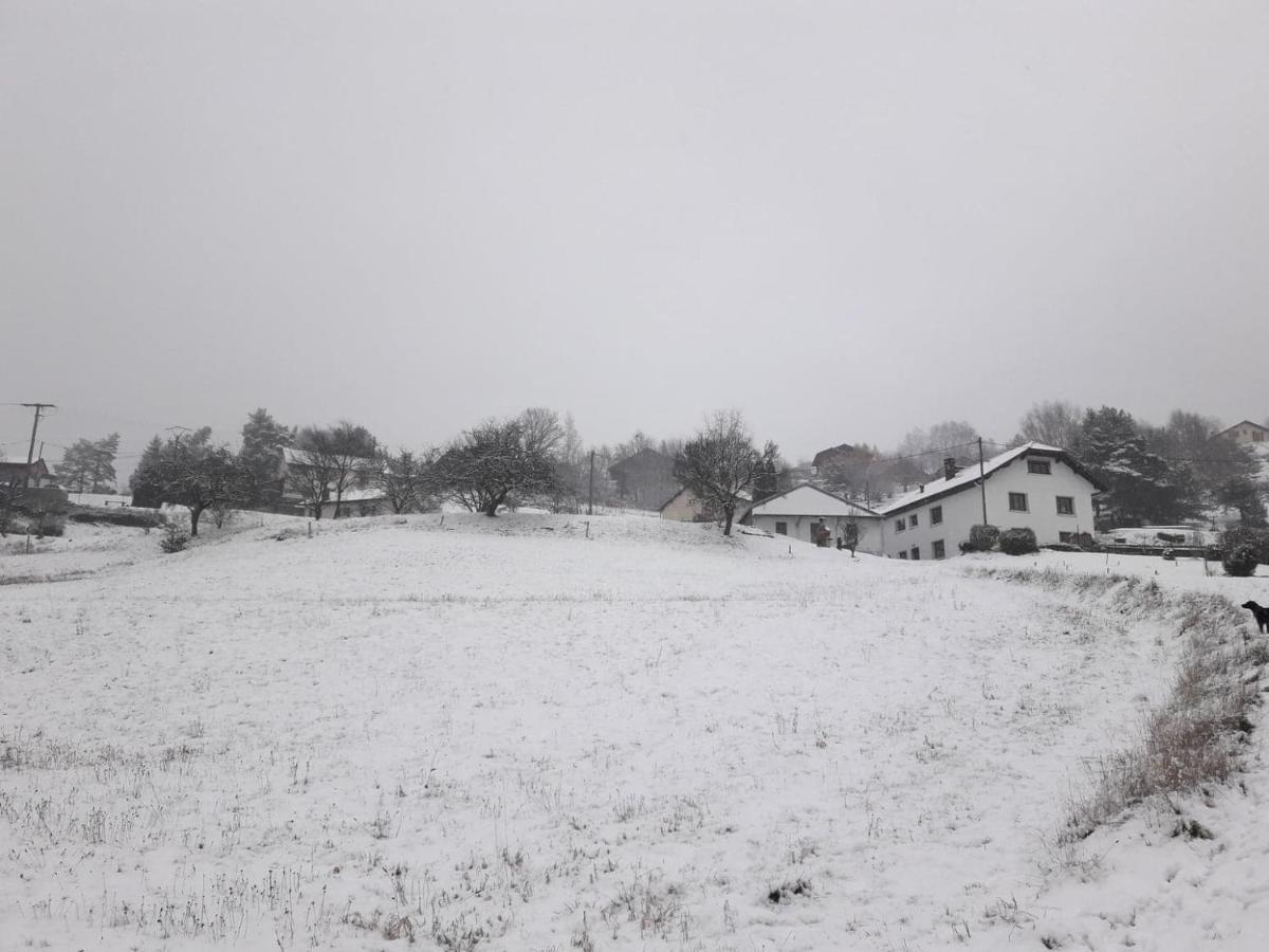 Gîte de famille dans les Vosges Saint-Maurice-sur-Moselle Extérieur photo