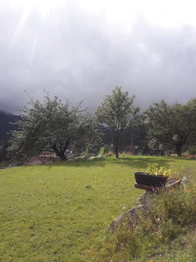 Gîte de famille dans les Vosges Saint-Maurice-sur-Moselle Extérieur photo