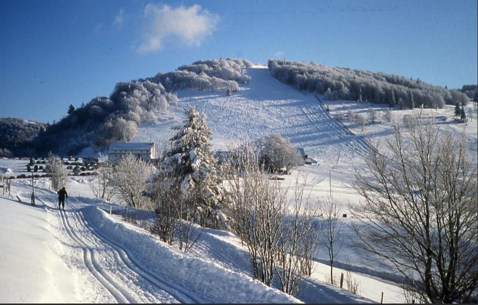 Gîte de famille dans les Vosges Saint-Maurice-sur-Moselle Extérieur photo